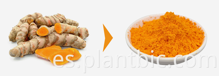 Natural Turmeric extract 95 curcumin powder